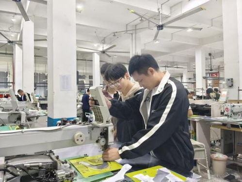 技術浪潮下，職業技能如何保鮮 聚焦計算機技術培訓